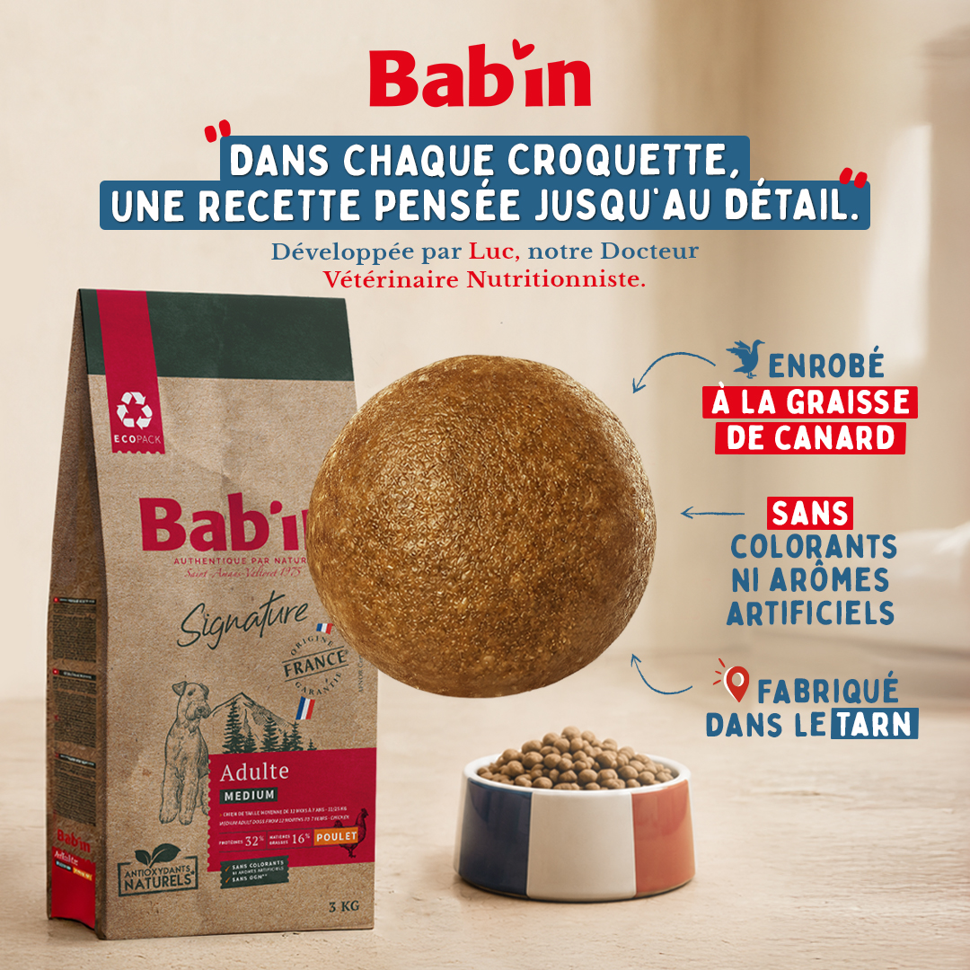Bab'in Facebook ad: Ses repas livrés sans y penser