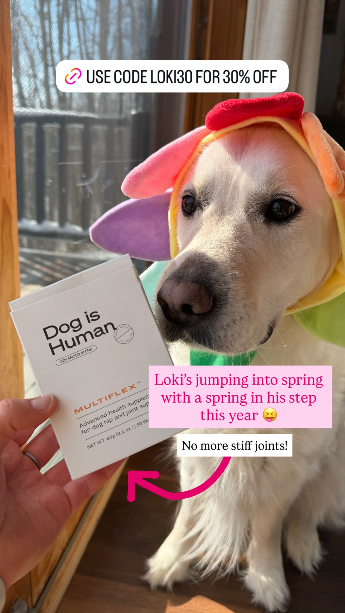 Loki The Floof Facebook ad: Daily Hip & Joint Care, Real Results