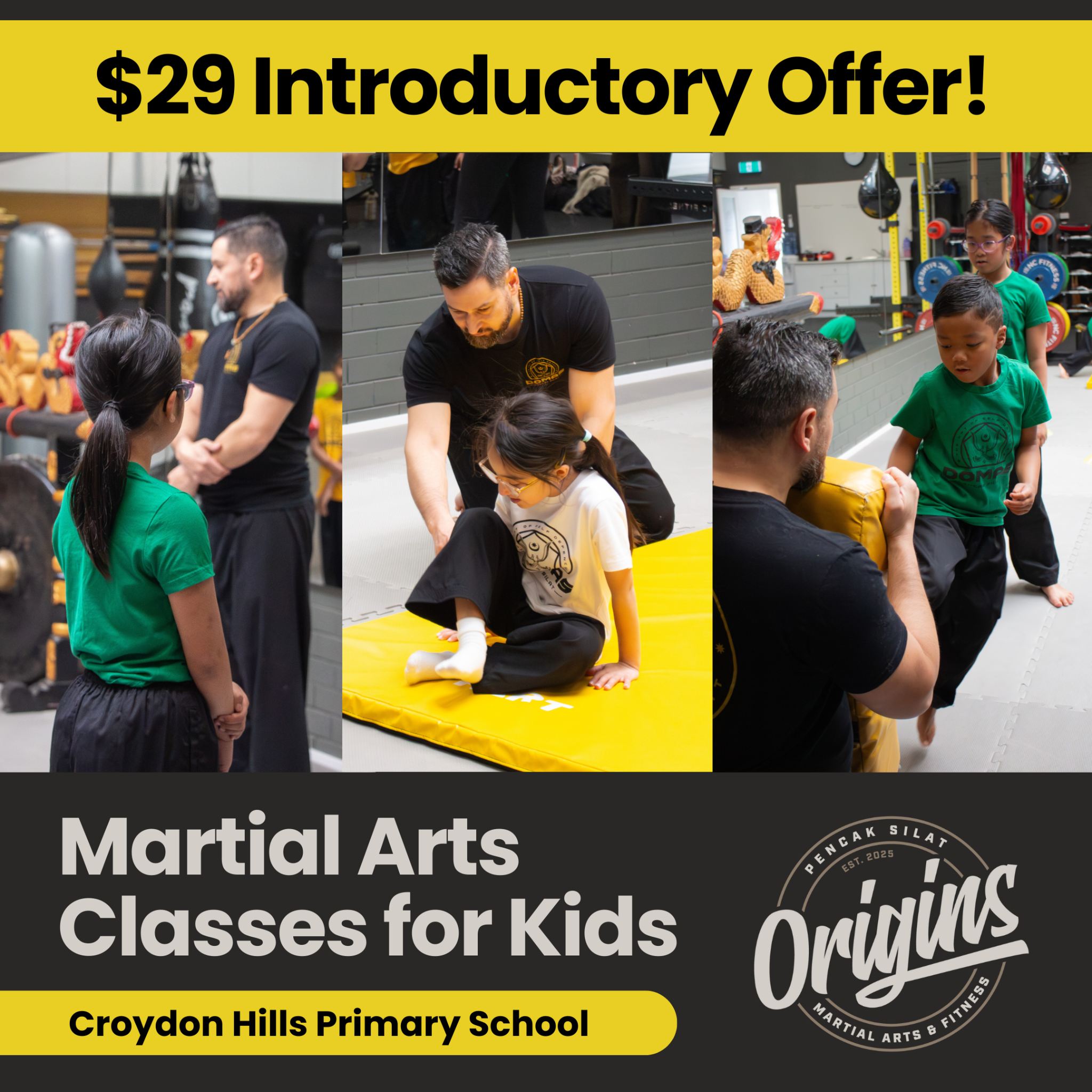 Origins Martial Arts & Fitness Facebook ad: Kids Martial Arts at Croydon Hills Primary School