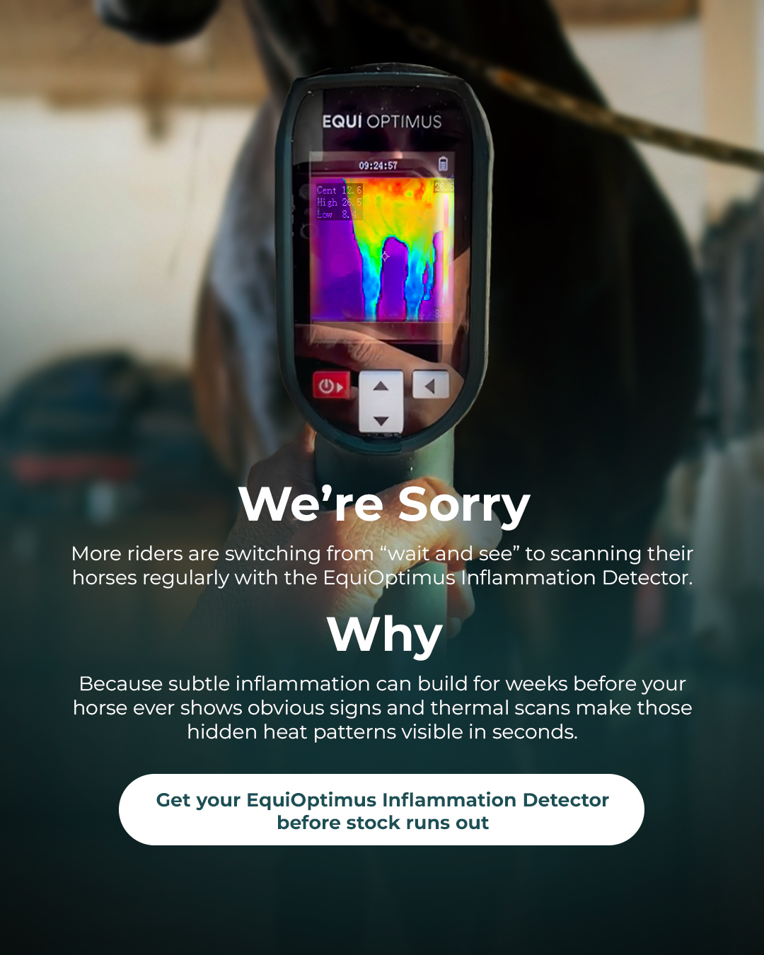 Chevaroo Facebook ad