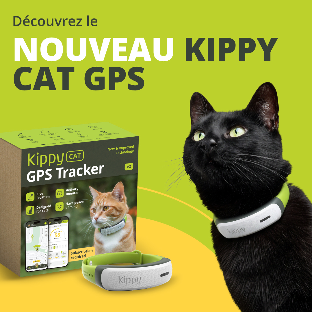 Kippy Facebook ad