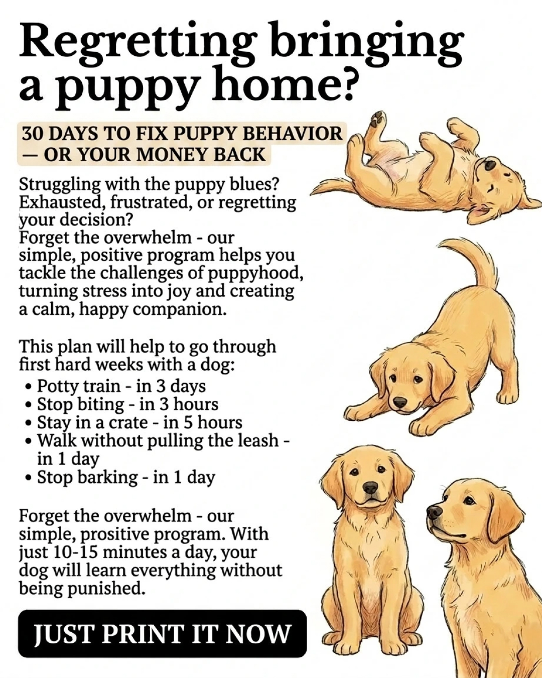 Puppy Tips for Training Facebook ad: Dog training doesn’t have to mean stress, barking…