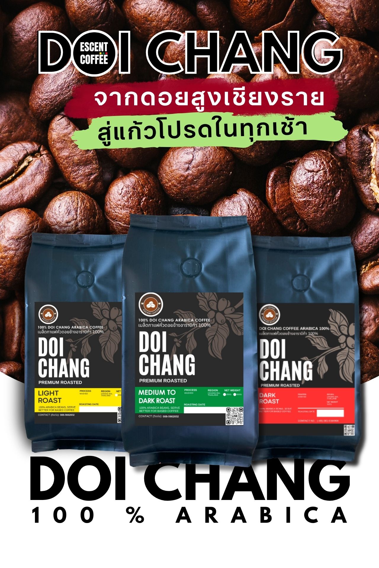 เมล็ดกาแฟดอยช้างอาราบิก้า Doi Chang Arabica Coffee Facebook ad: *จากดอยสูงเชียงราย. สู่ถ้วยโปรดในทุกเช้าของคุณ*
