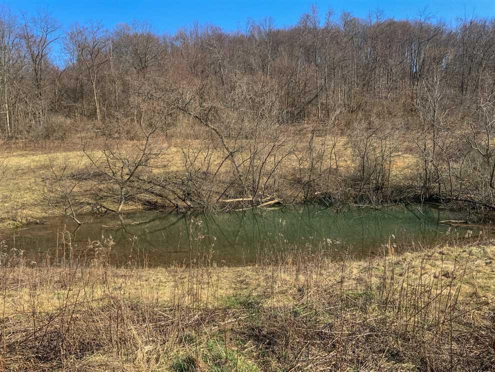 Mossy Oak Properties Facebook ad