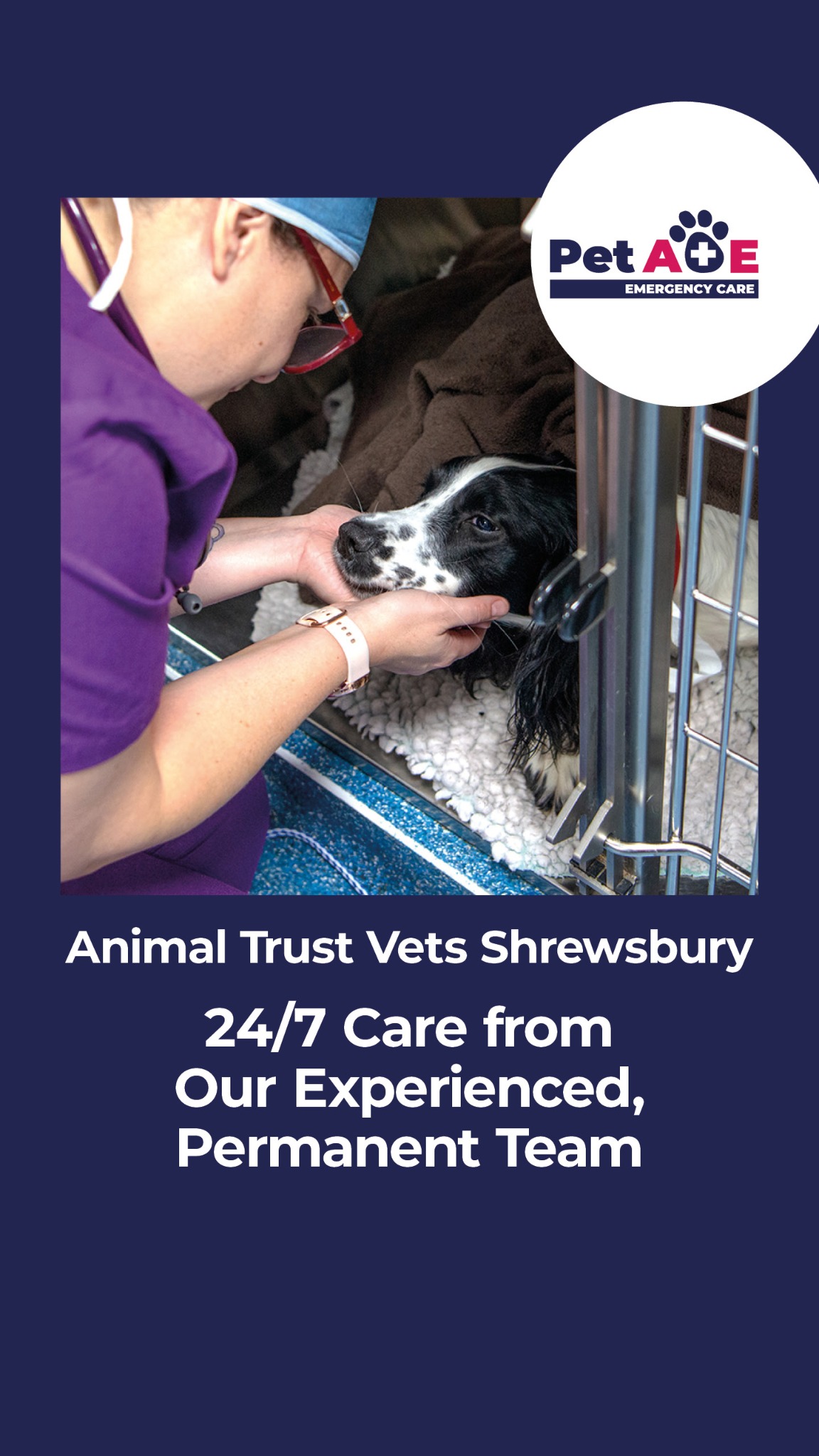 Animal Trust Vets Facebook ad