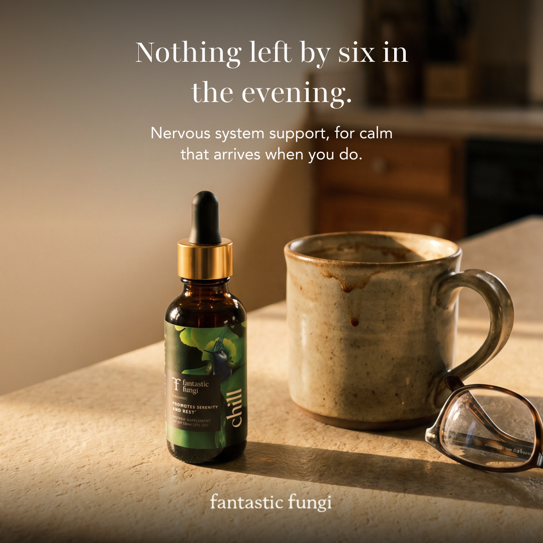 Fantastic Fungi Facebook ad