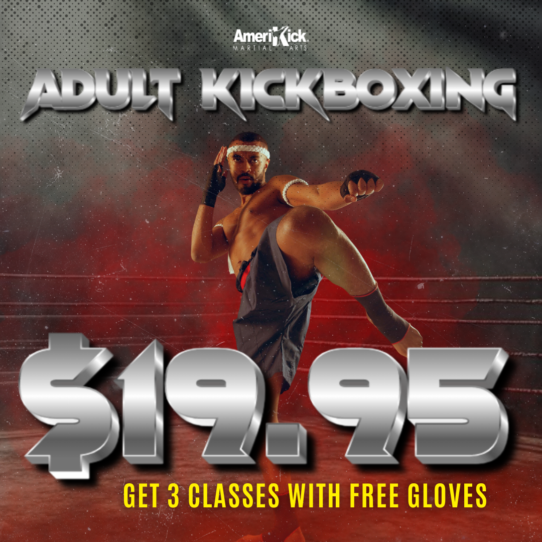 Amerikick Martial Arts Facebook ad