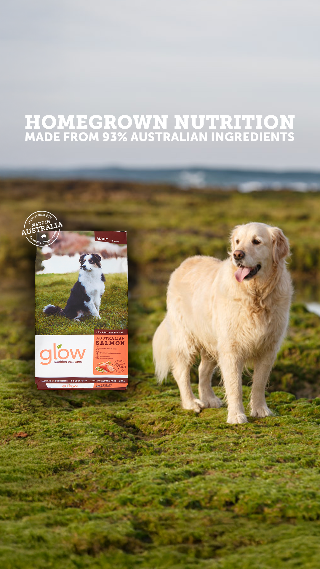 Glow Pet Food Facebook ad from Aug 13, 2026