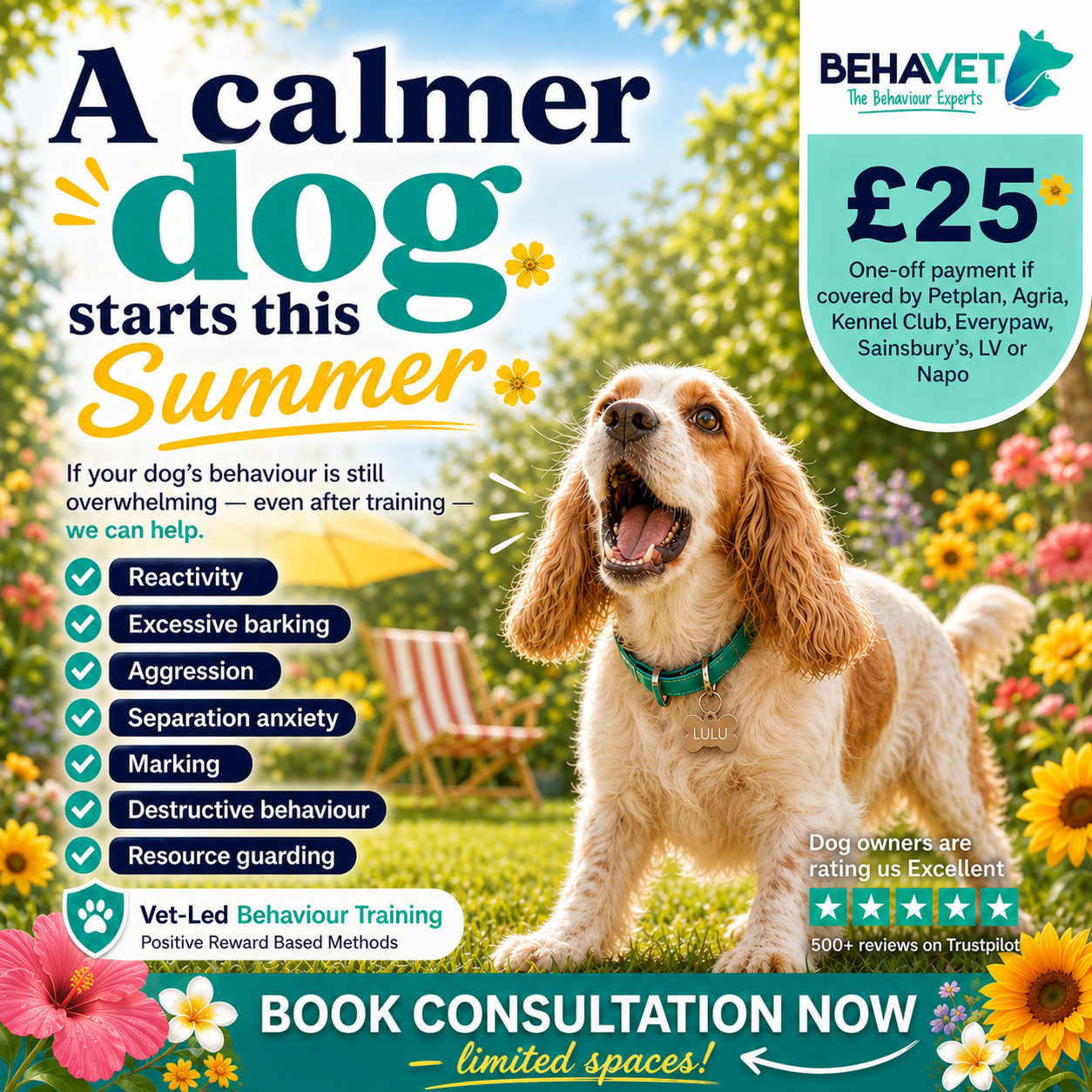 Behavet: The Pet Behaviour Experts Facebook ad