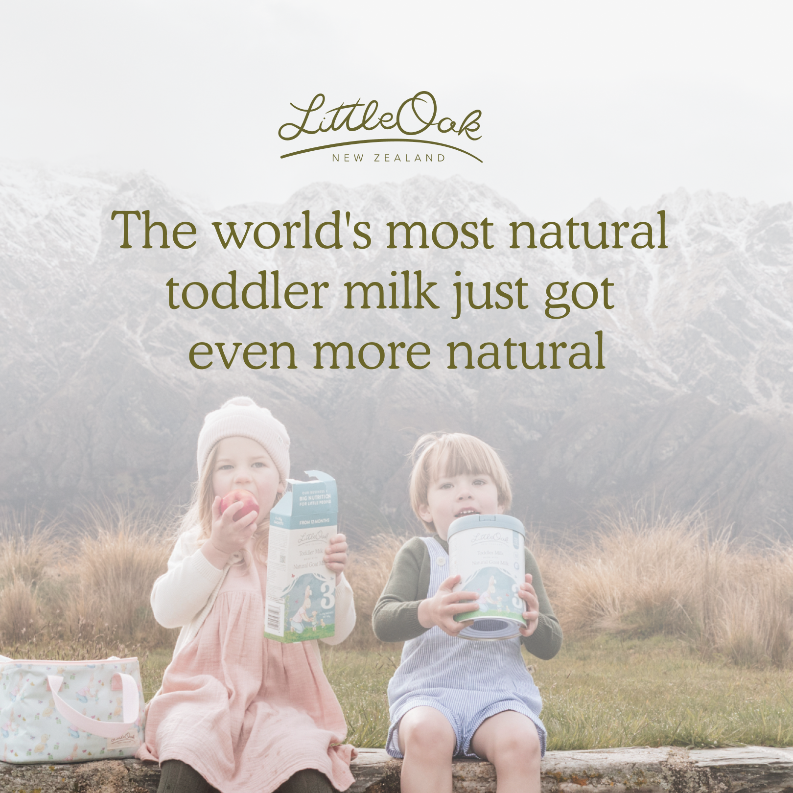 The LittleOak Company Facebook ad