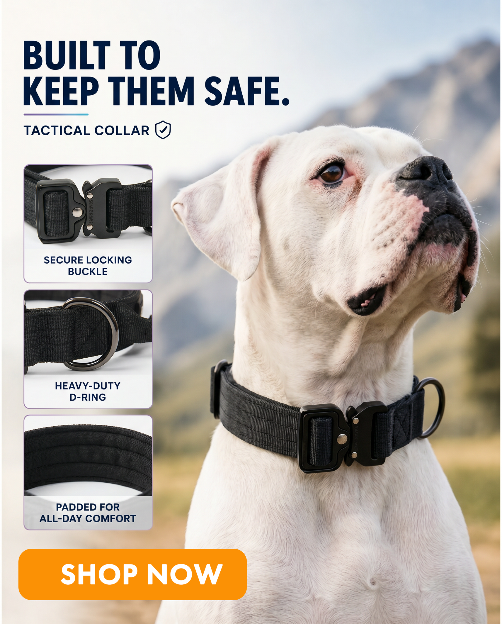Spark Paws Facebook ad