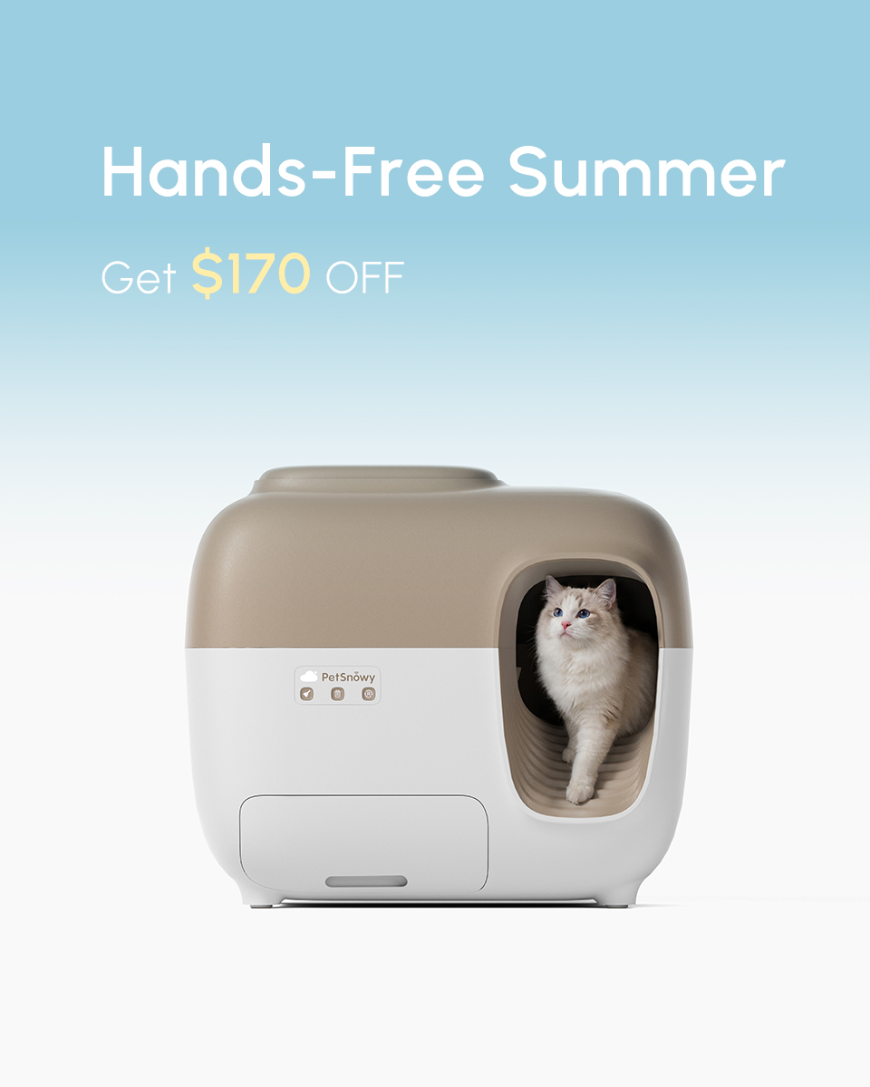 PetSnowy Facebook ad