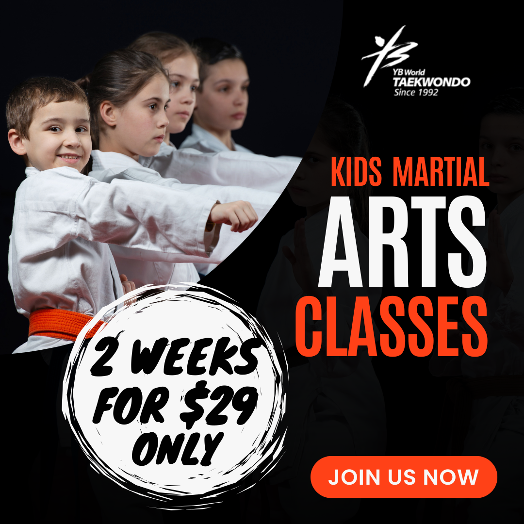 YB World Taekwondo Academy Facebook ad