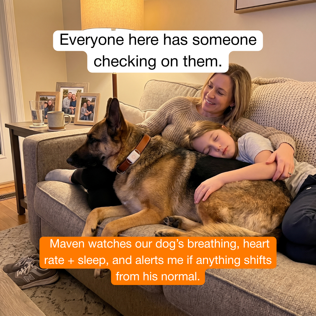 Maven Pet Facebook ad