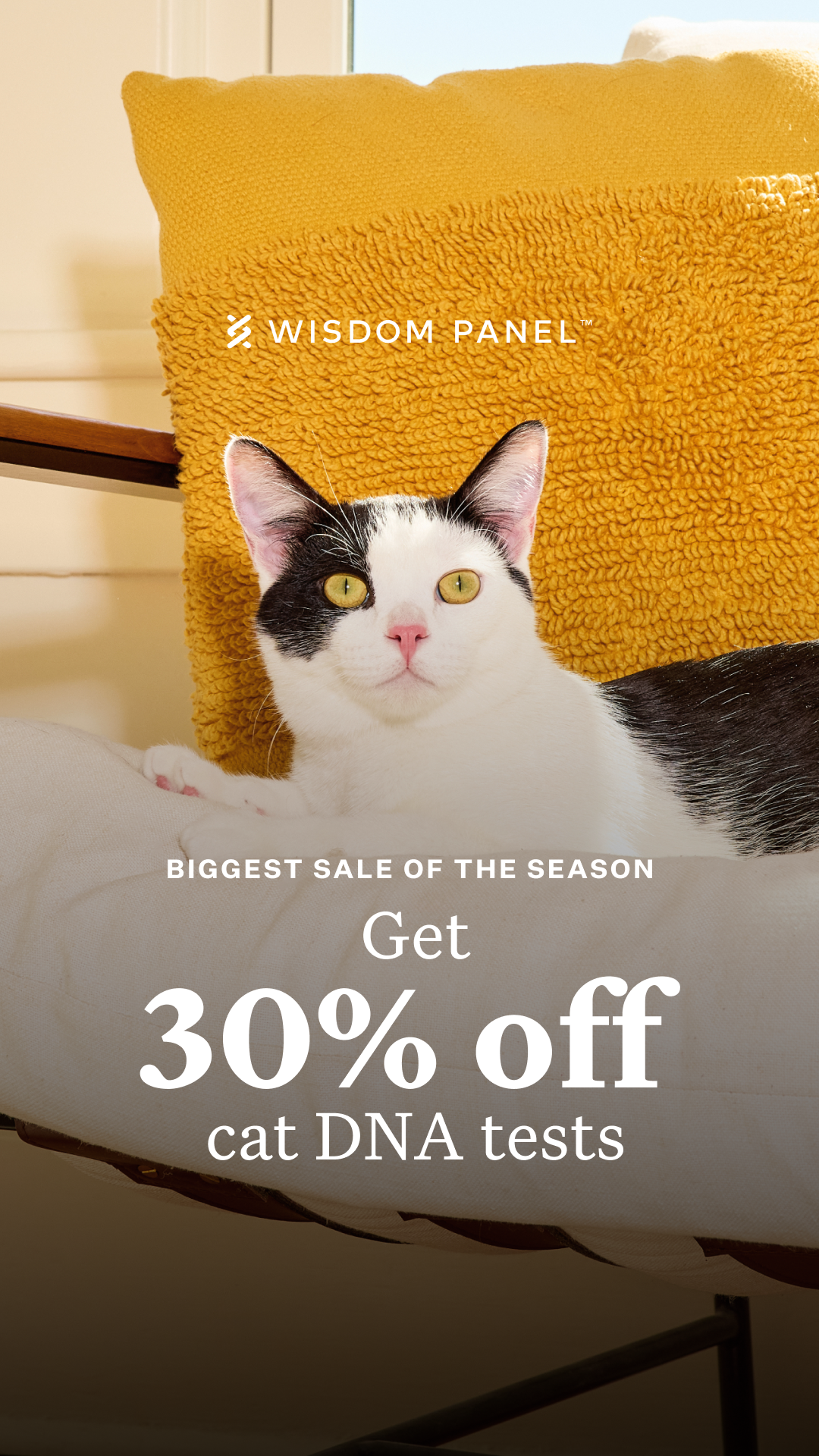 Wisdom Panel Facebook ad