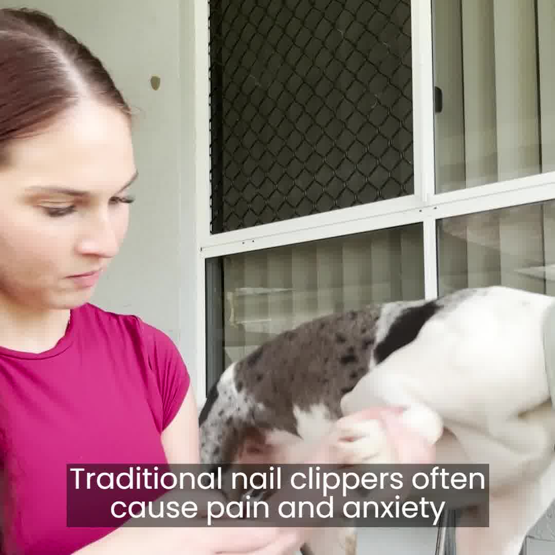 PawfectPawz Facebook ad: 50% Off Silent Nail Grinder