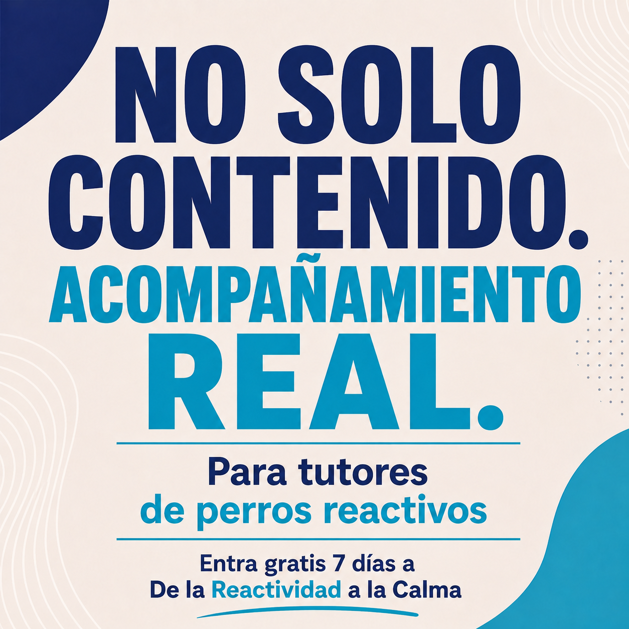 El Profesor Canino Facebook ad