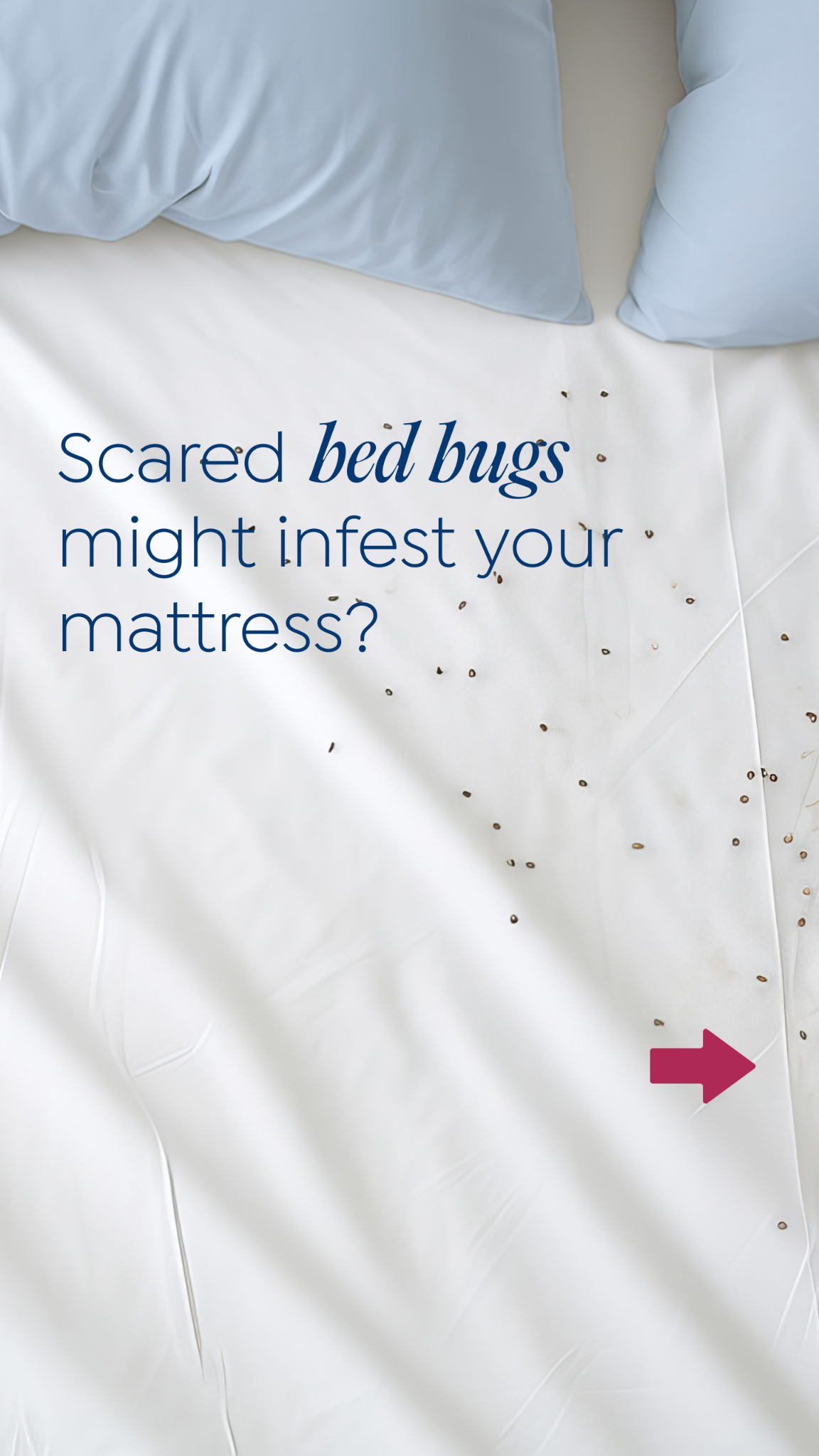 Protect-A-Bed Australia Facebook ad