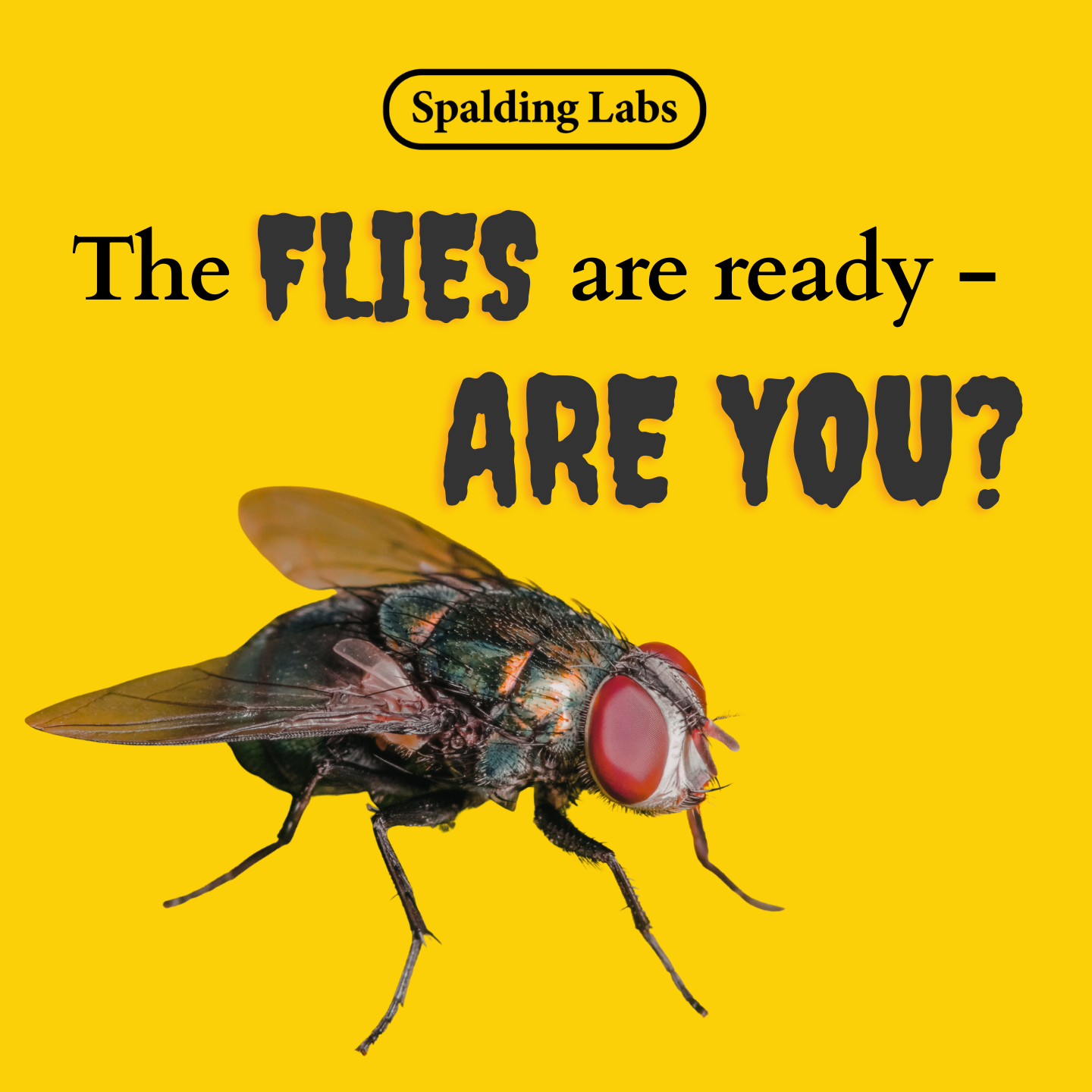 Spalding Labs Facebook ad