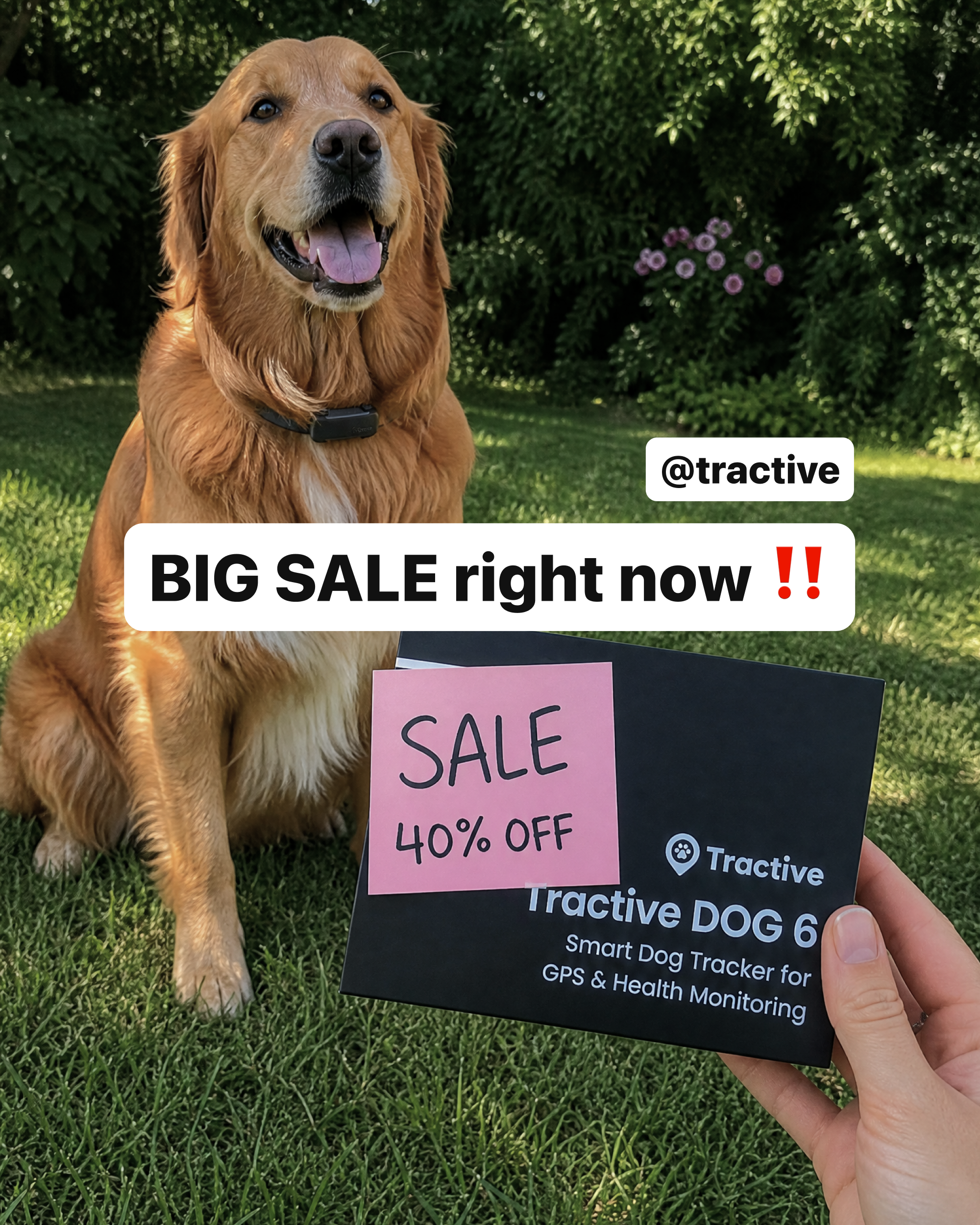 Tractive Facebook ad