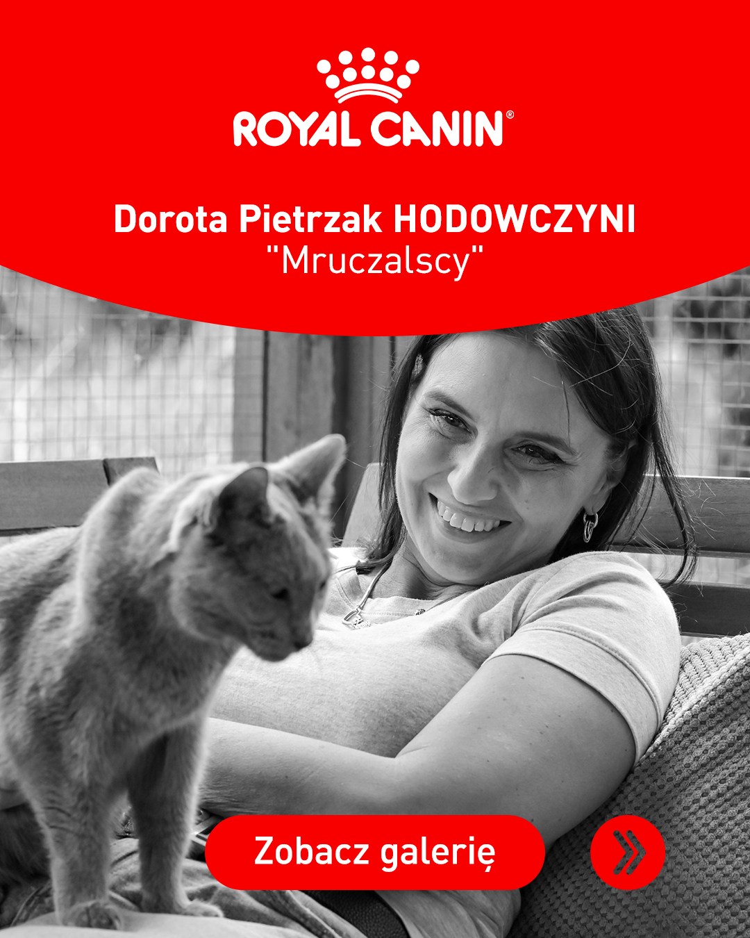 Royal Canin Facebook ad: Koty są niezwykle subtelne w sygnalizowaniu swoich potrzeb…