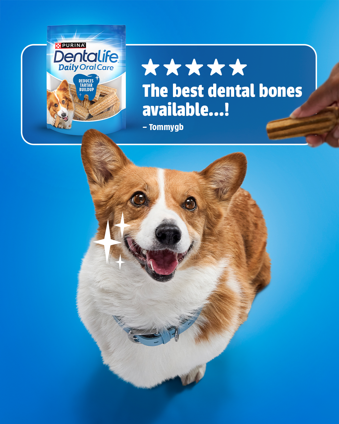 DentaLife Facebook ad