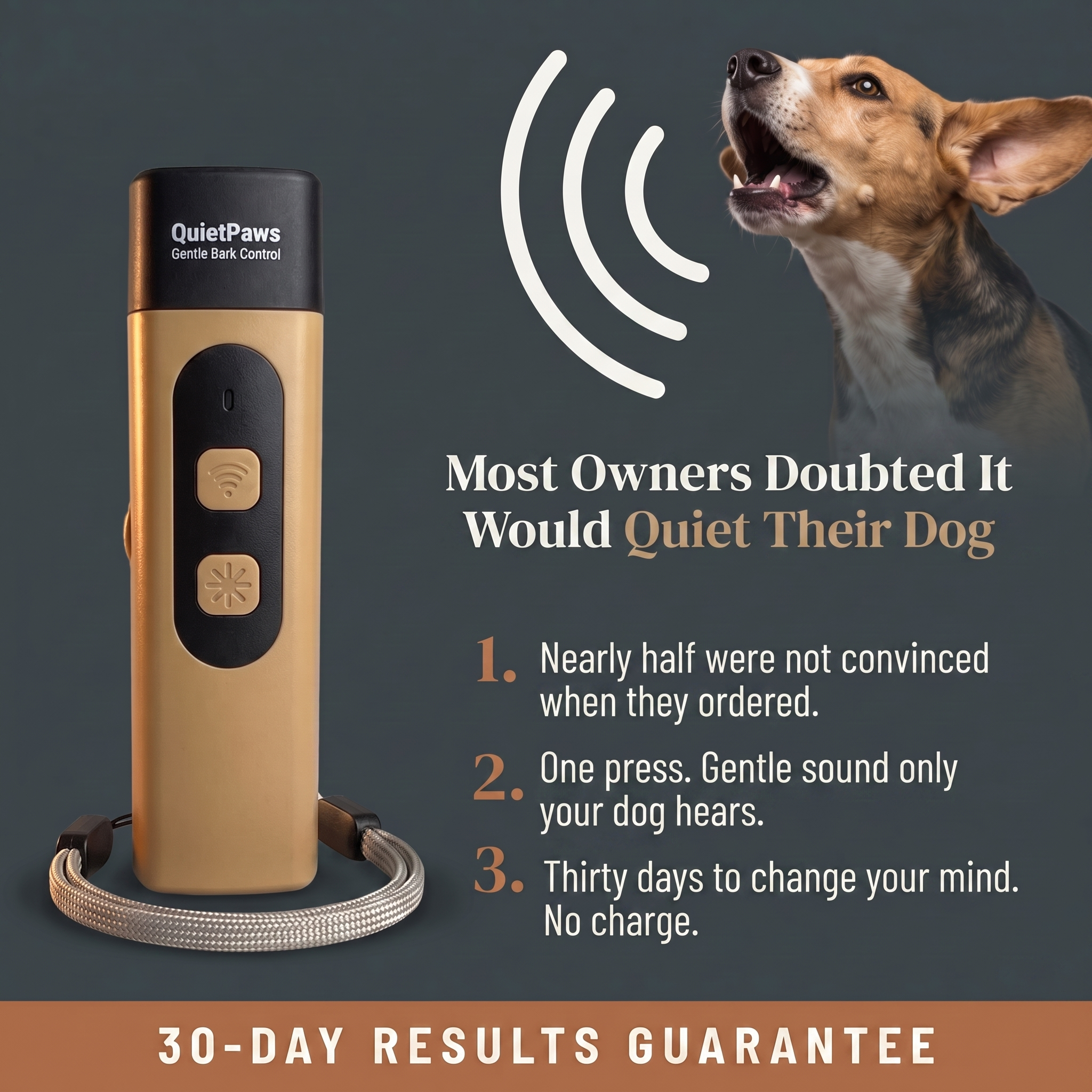 Hunters Doggy Daycare Facebook ad