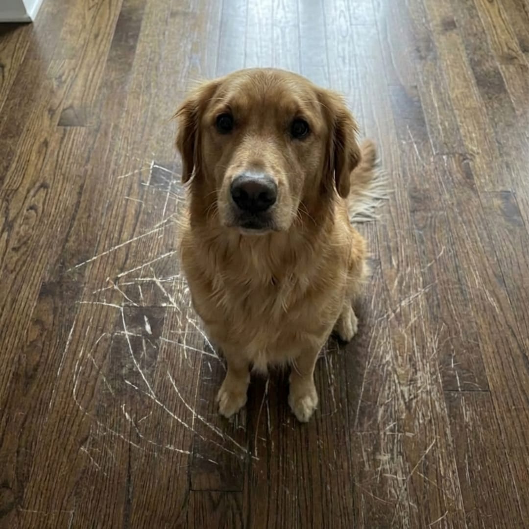 Betty Reed Facebook ad: Try THIS for scratches on wood