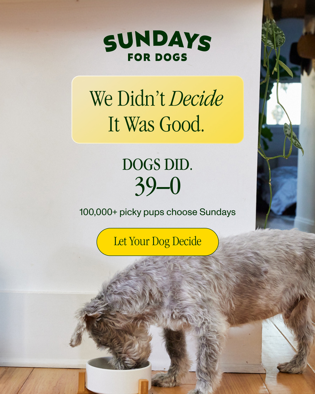 Sundays Facebook ad