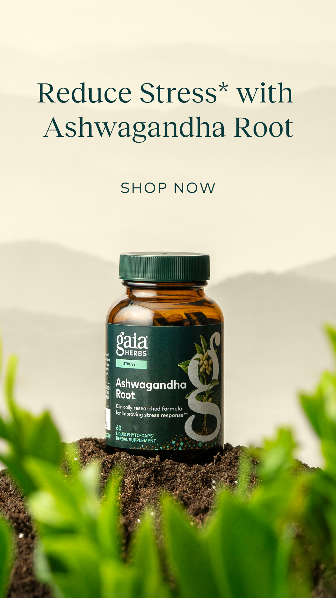 Gaia Herbs Facebook ad