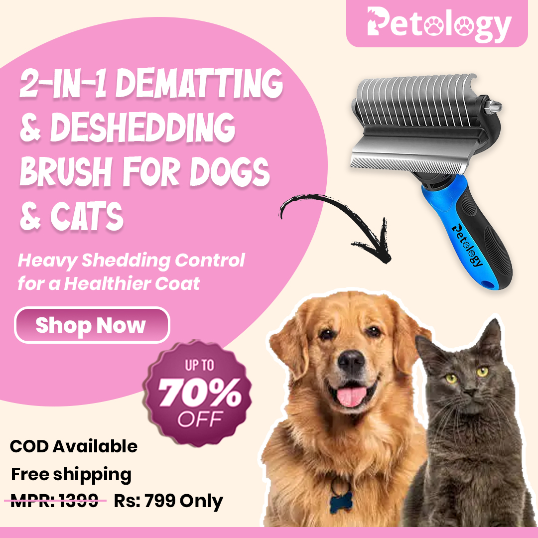 Petology Store Facebook ad: Upto 70% OFF on Pet Accessories