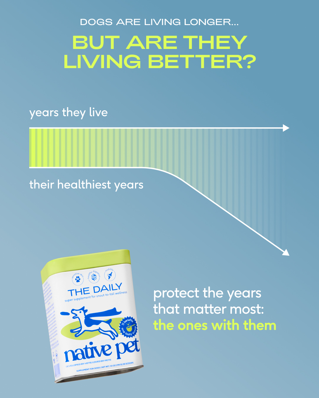 Native Pet Facebook ad