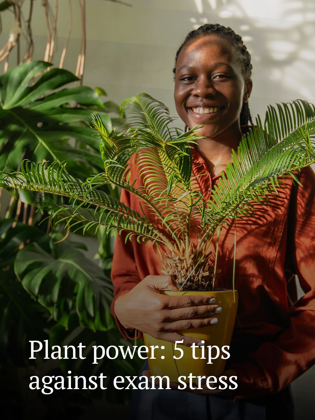 Plants & Flowers Foundation Holland Facebook ad: Is your child feeling stressed about the final…
