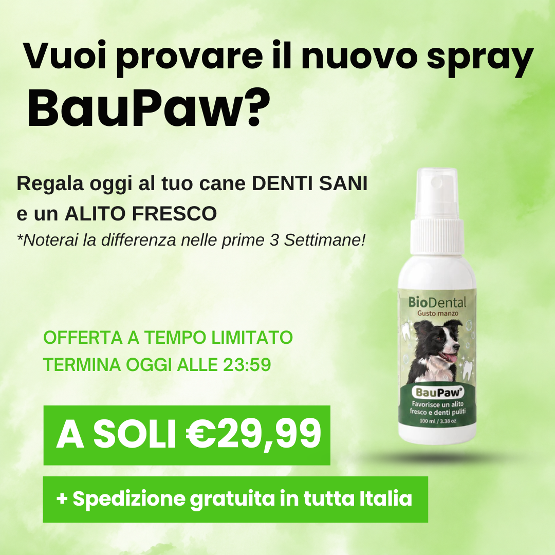 Baupaw Facebook ad