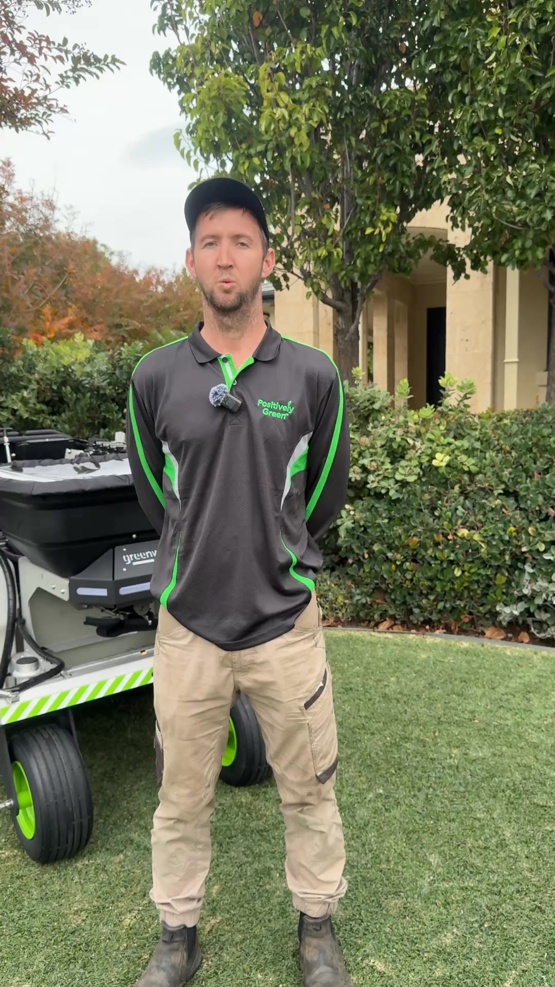 Positively Green Facebook ad: Winter Lawn Care