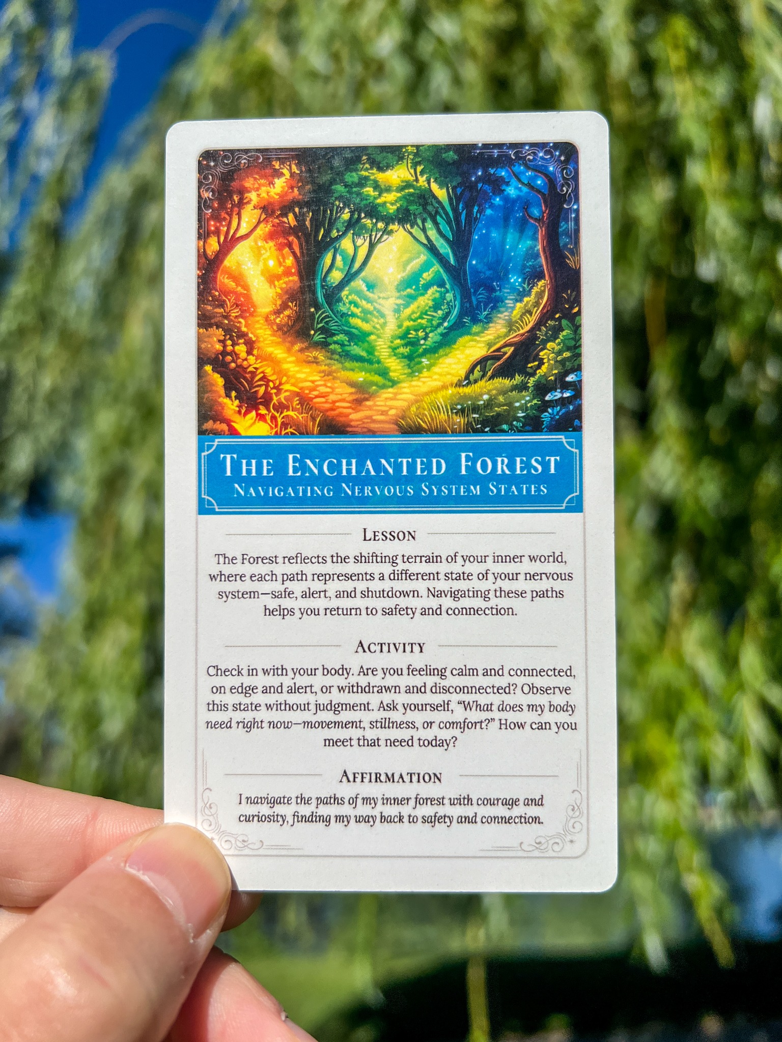 Silver Sparrow Cards Facebook ad: Start Your Journey Today