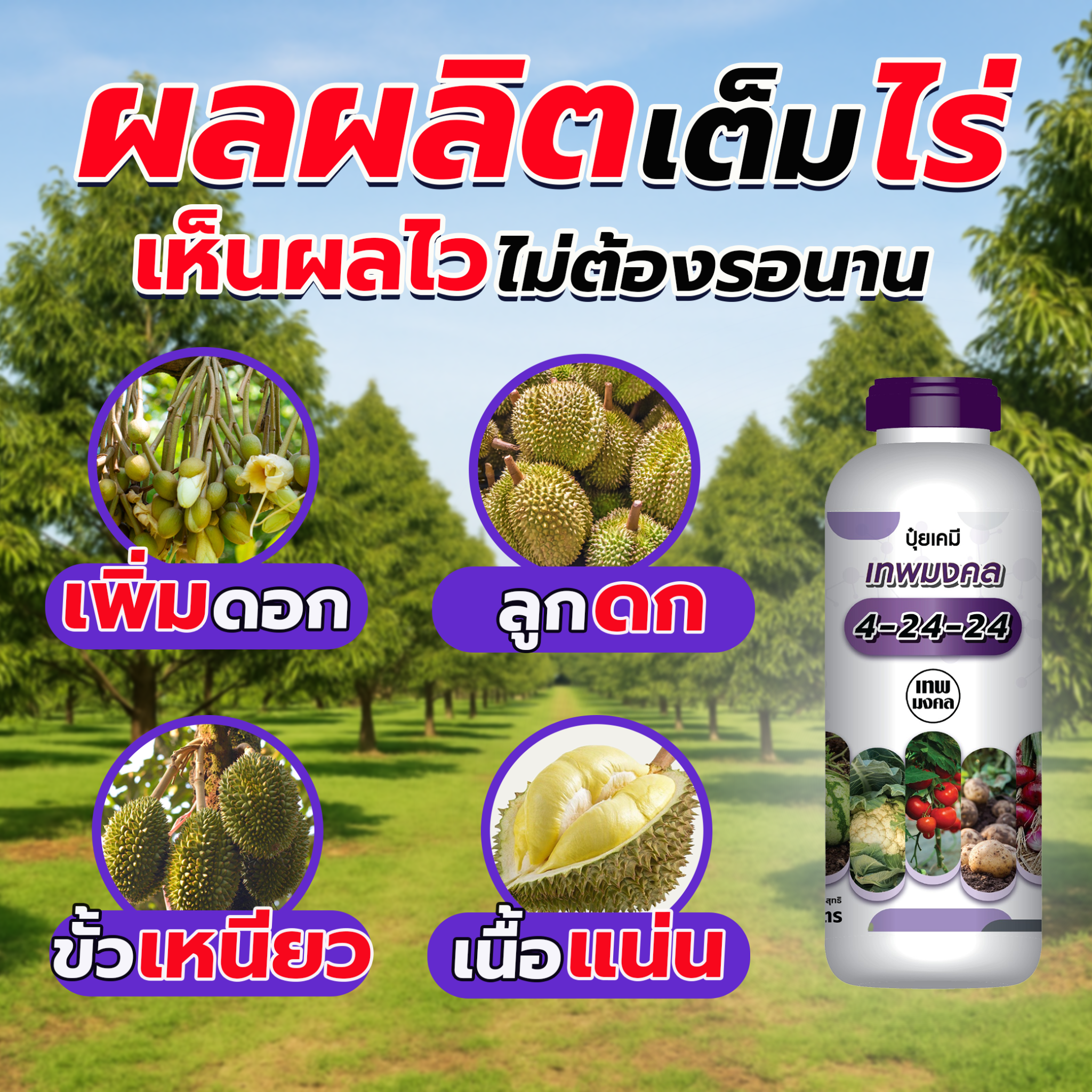 ปุ๋ย ตราเทพมงคล Facebook ad