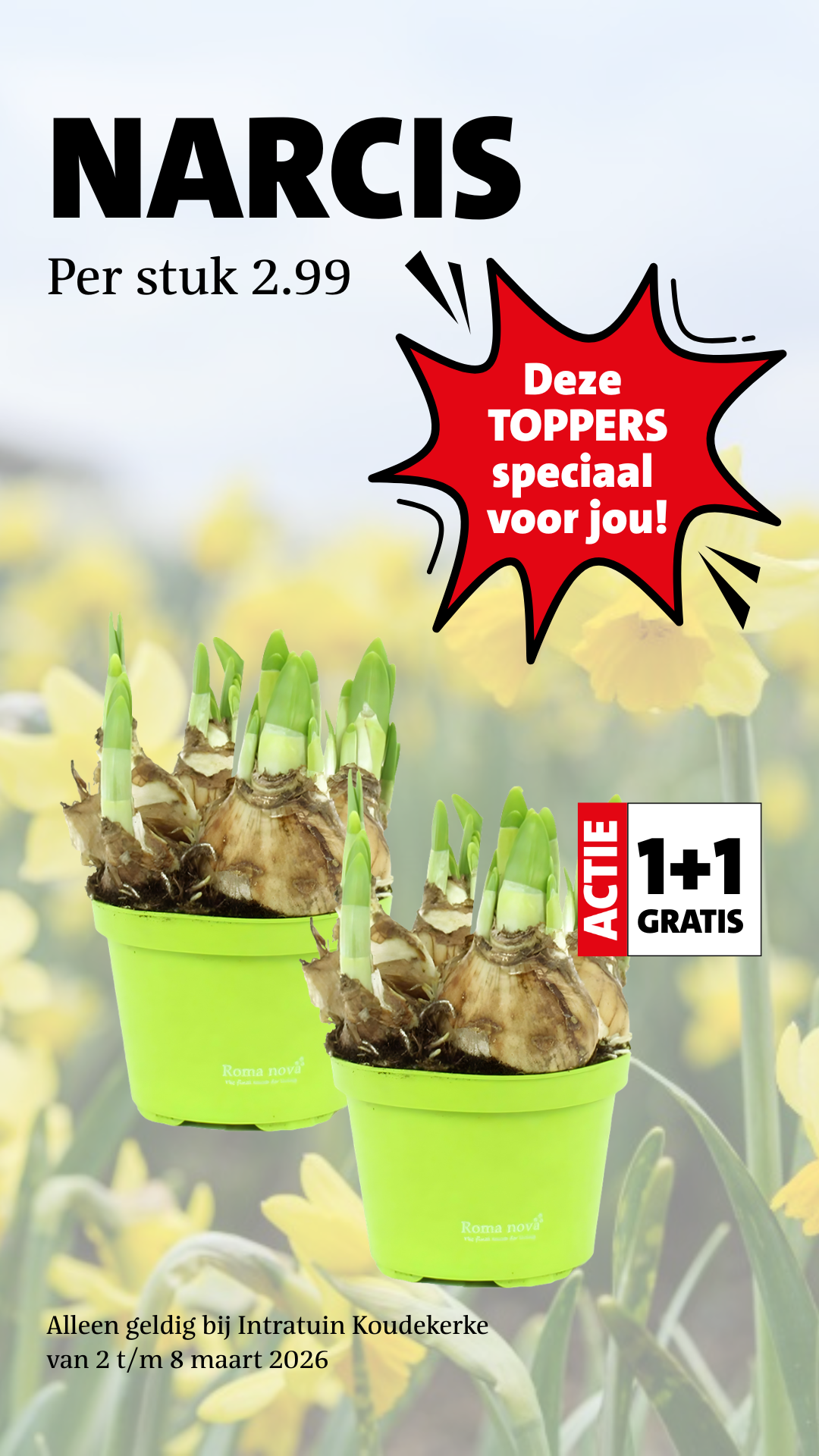 Intratuin Koudekerke Facebook ad