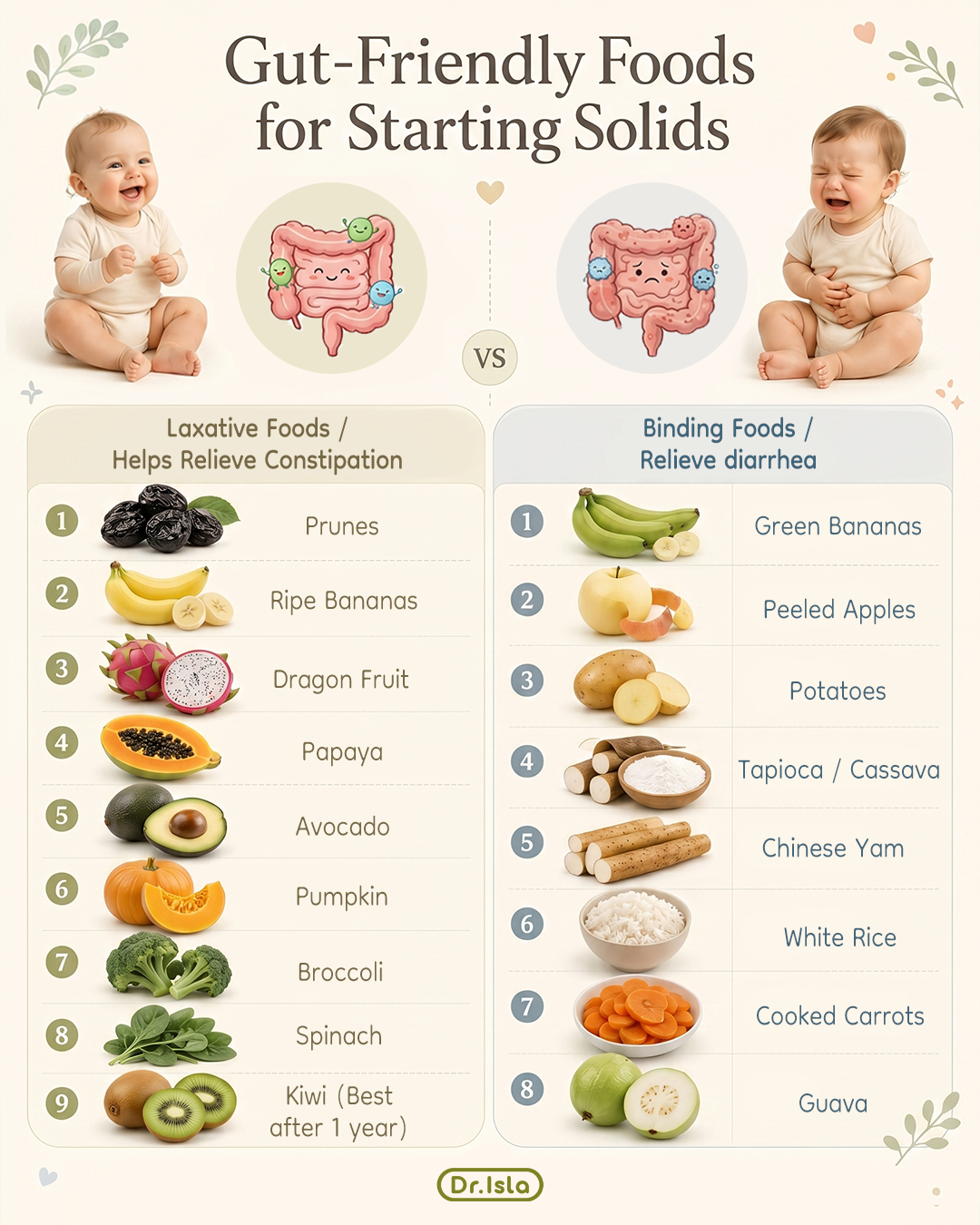 Dr.isla Philippines Facebook ad: Starting Solids? Here's a Gut Health Guide!