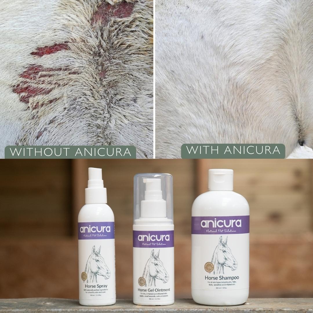 Anicura Natural Pet Solutions Facebook ad