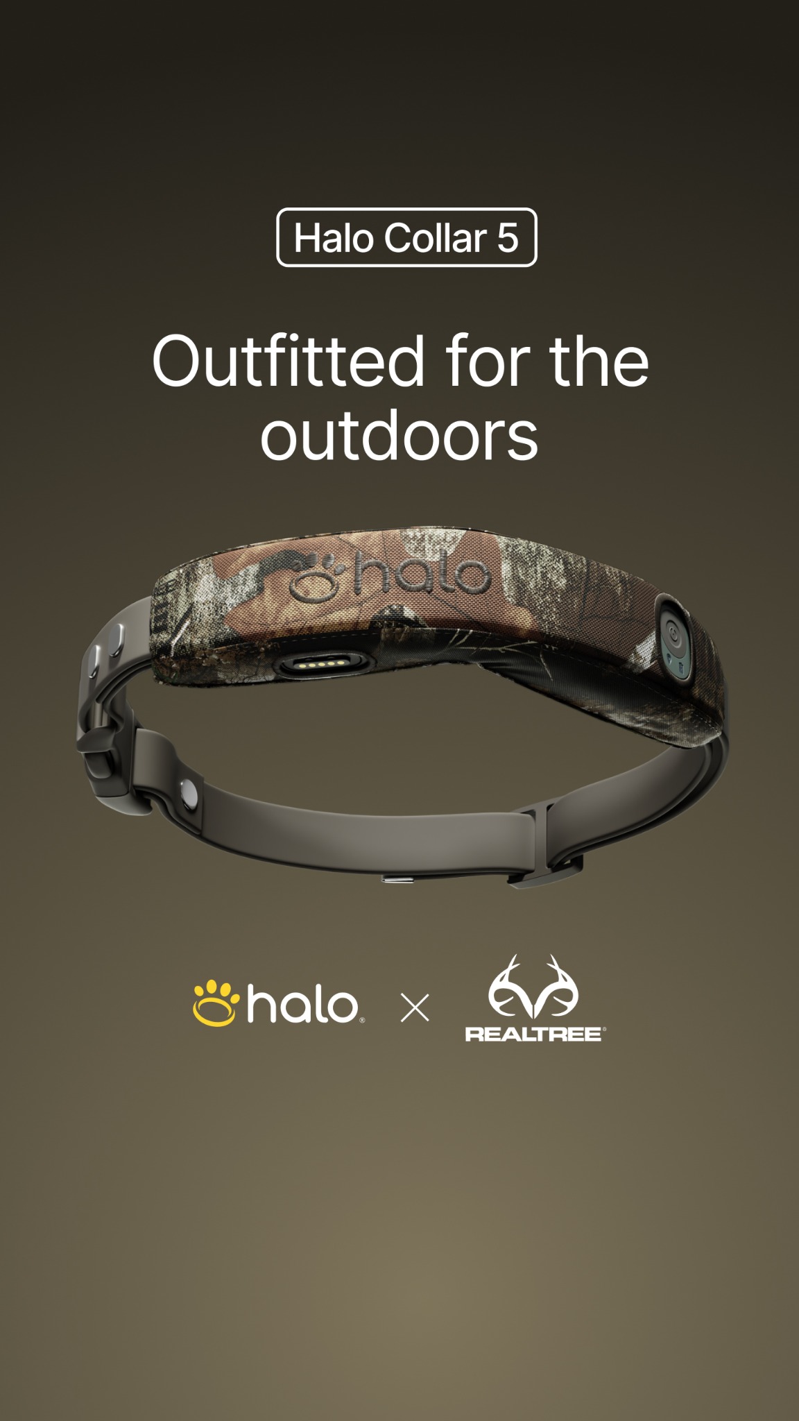 Halo Collar Facebook ad