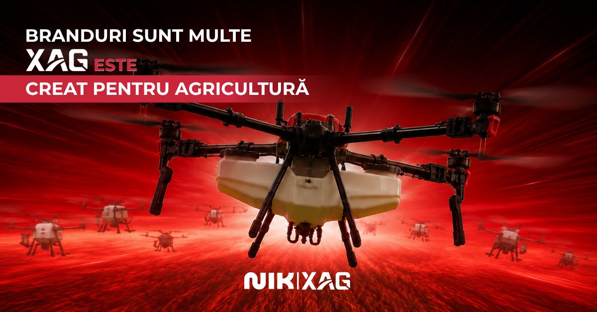 NIK România Facebook ad from Jul 6, 2026
