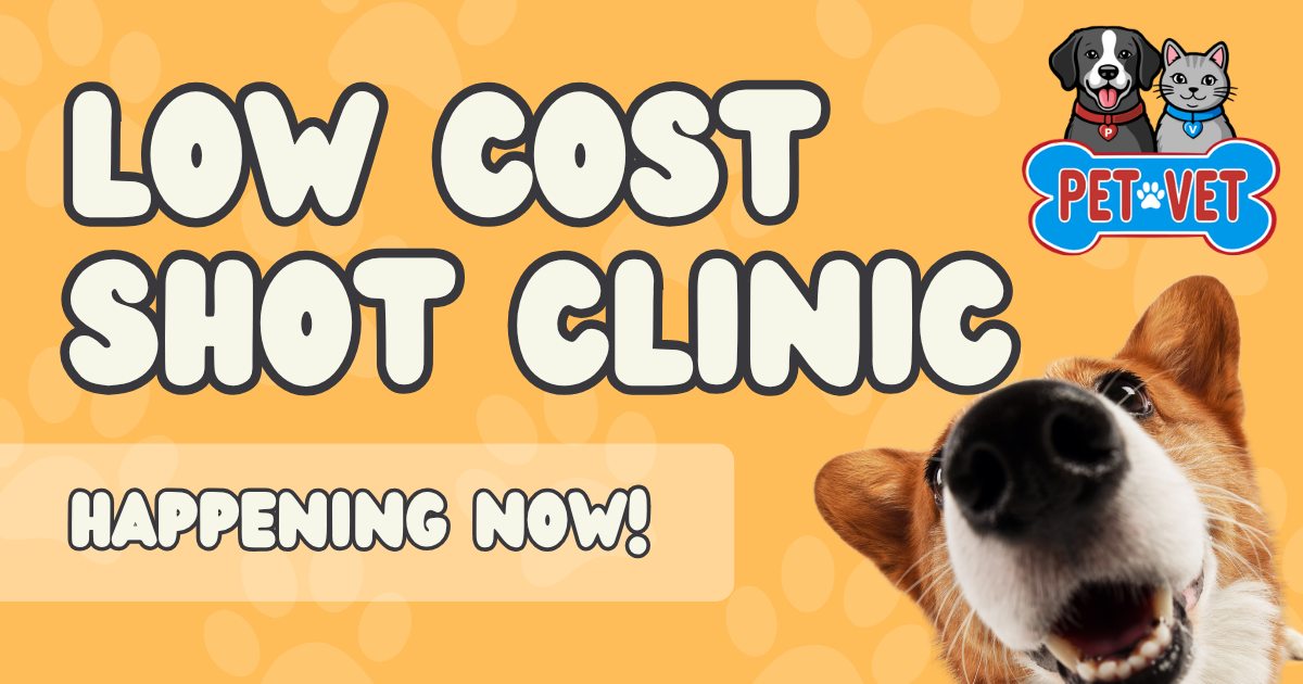 Pet Vet Facebook ad