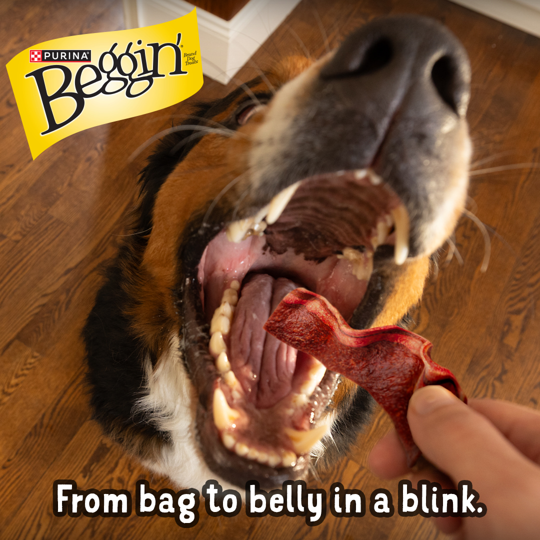 Purina Beggin' Facebook ad: Beggin’ Dog Treats
