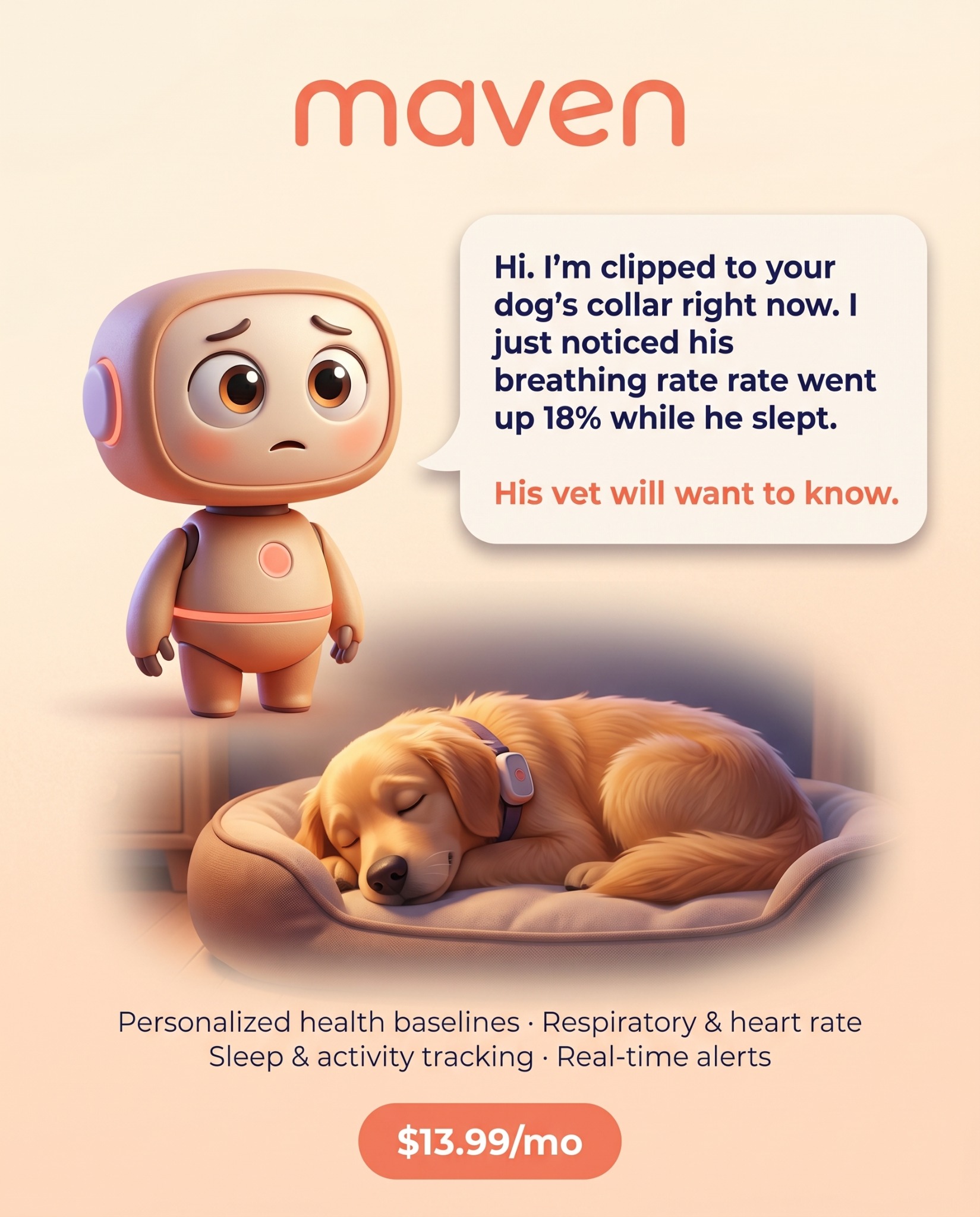 Maven Pet Facebook ad