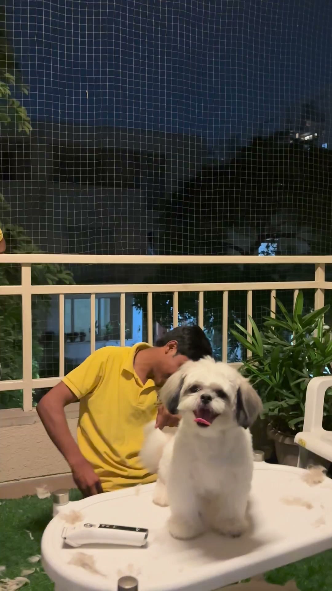 Ultimutt Pet services Facebook ad: Professional Dog Grooming at Home, starts at just…