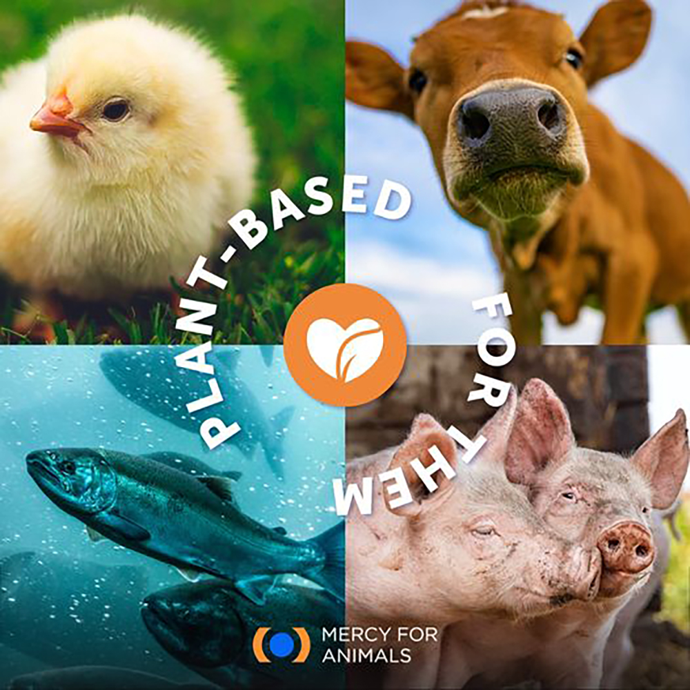 Animal Matters Facebook ad