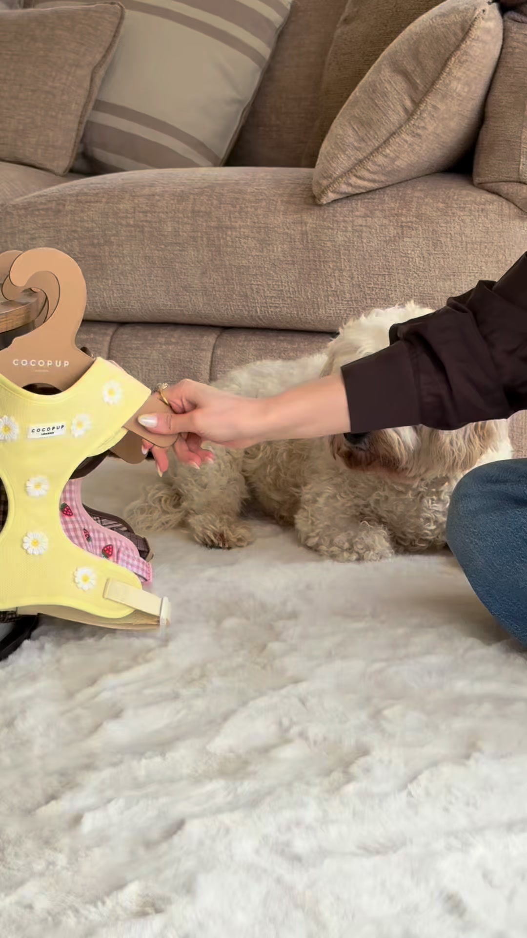 Cocopupuk Facebook ad: A Tail-Wagging Wardrobe