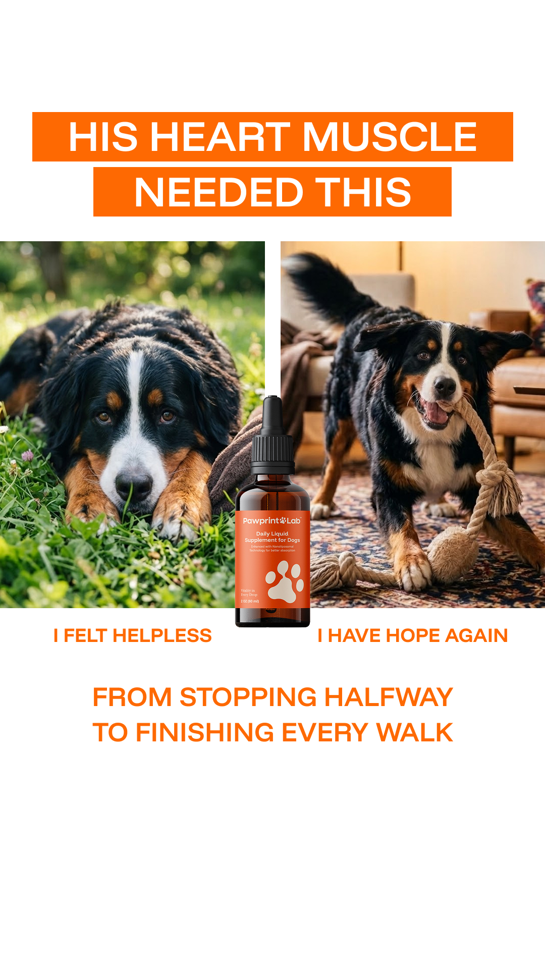 Vet-Approved Pet Products Facebook ad