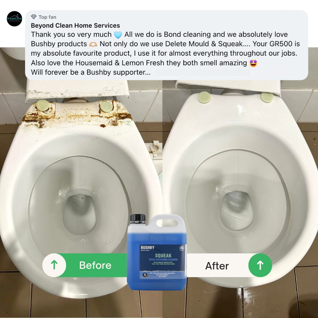 Bushby Cleaning Facebook ad
